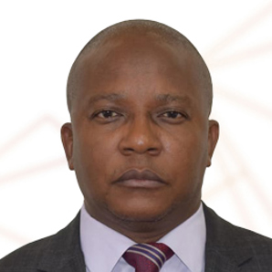 HE Dr. Polite Kambamura