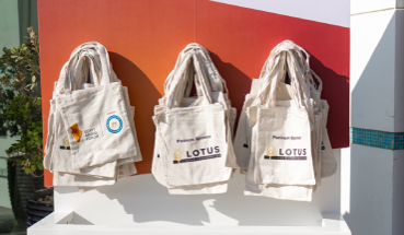 VISITOR BAGS