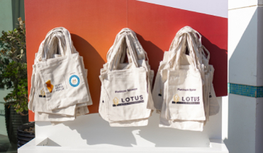 VISITOR BAGS