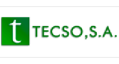 TECSO Logo